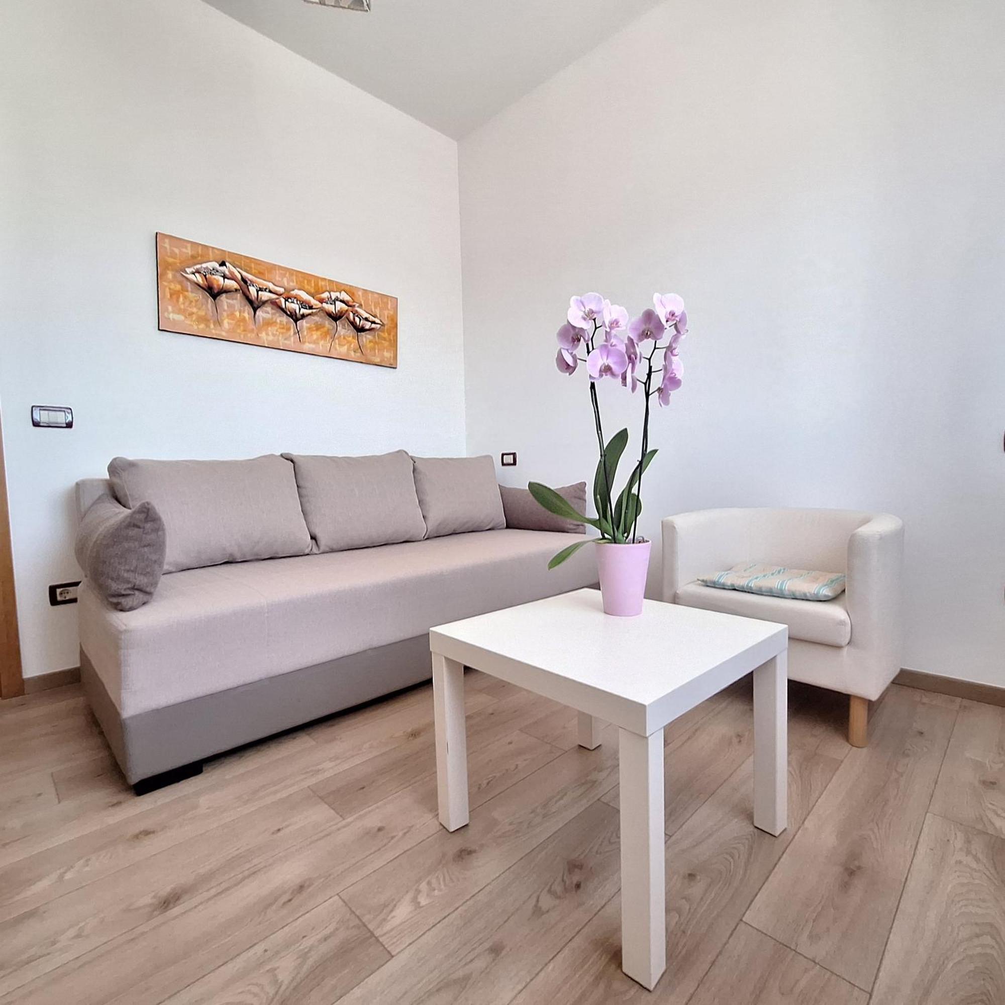 Apartment Mita Groznjan Luaran gambar